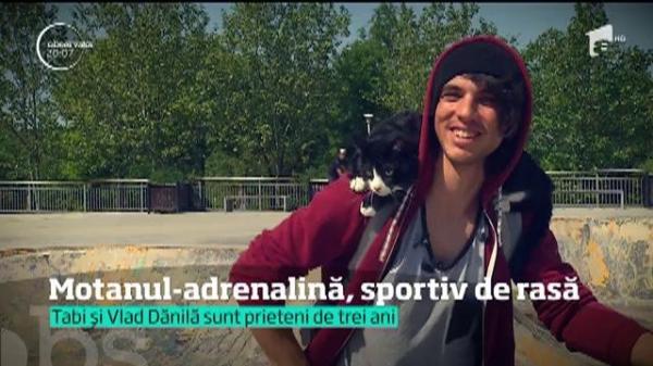 Motanul Tabi, în vârstă de trei ani, iubește sporturile extreme
