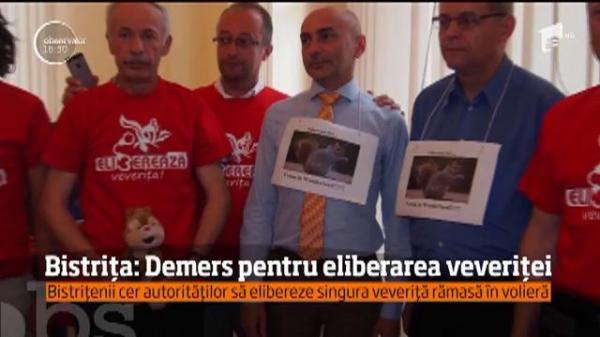 Protest INEDIT la Bistriţa: "Eliberaţi veveriţa!"