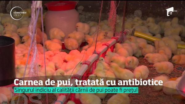 Avertismentul experților UE : în magazinele românești se vinde și carne de la pui tratați cu antibiotice!