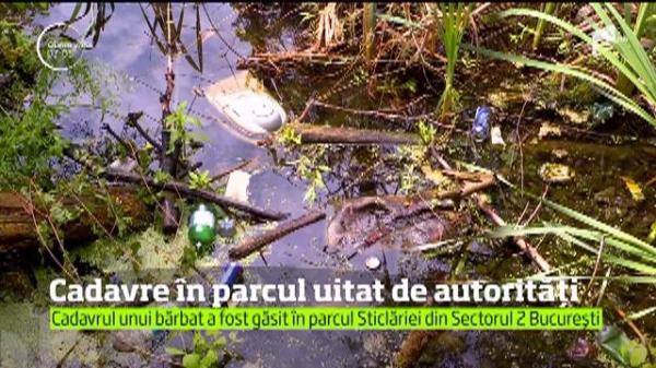 Descoperire MACABRĂ, în Capitală: Un cadavru în stare avansată de putrefacţie a fost găsit într-un parc uitat, din sectorul 2