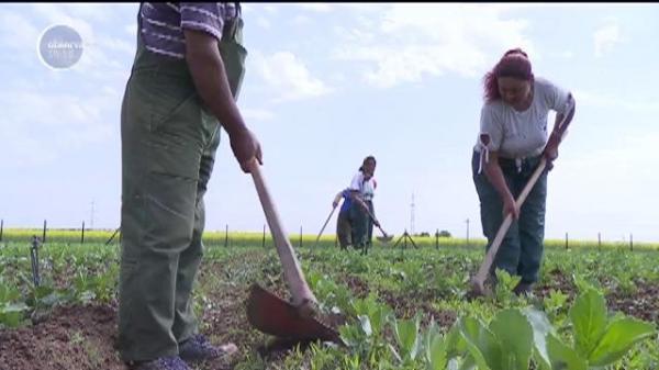 România are un nou mall! În ferma din Dâmbovița sunt doar fructe și legume, fără chimicale