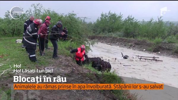 Doi bărbaţi din Prahova au fost la un pas de înec!