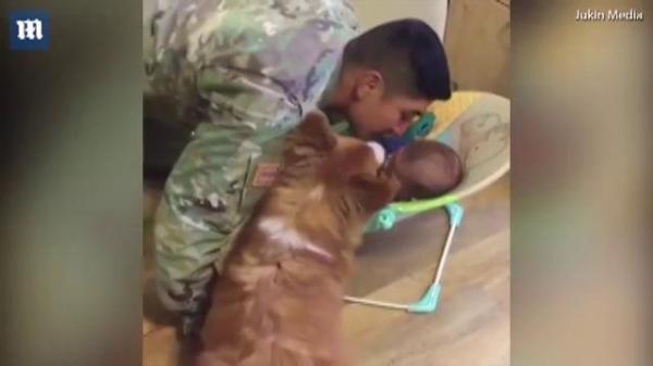 Dragostea nu se împarte la doi. Un căţel este gelos de fiecare dată când stăpânul său îşi pupă bebeluşul (VIDEO)