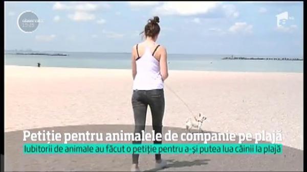 Petiție online pentru modificarea legii care interzice accesul animalelor pe plajă