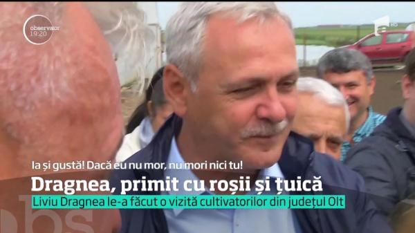 Cu roşii şi ţuică, nu cu pâine şi sare. Aşa a fost primit Liviu Dragnea de legumicultorii din Olt