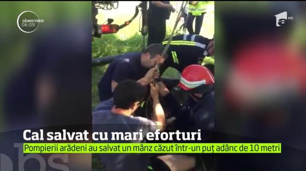 Misiune emoţionantă la Arad! Pompierii au fost chemaţi să salveze un cal căzut într-o fântână (VIDEO)