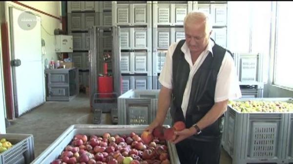 Românii îi vor îmbogăţi pe vecinii de peste Prut. Ne pregătim de importuri masive din Republica Moldova