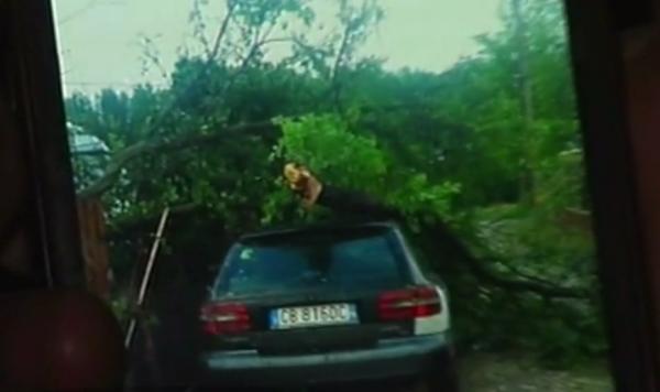 Pagube uriaşe după tornada de luni, de la Făcăieni