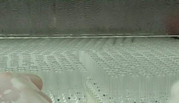 INCREDIBIL! E epidemie de rujeolă, criză de vaccinuri, dar Ministerul Sănătăţii nu pare să ştie cum să rezolve situaţia