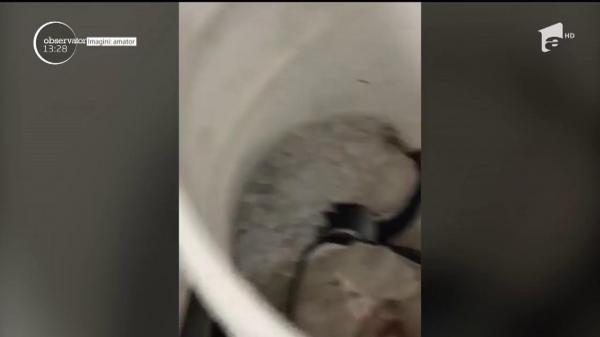 În timp ce turiştii se pregătesc de vacanţă, inspectorii OPC vor să se asigure că restaurantele în care vor ajunge oamenii sunt sigure