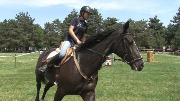 Cursă extremă de anduranţă ecvestră, lângă Târgovişte. 120 de kilometri pe cal!
