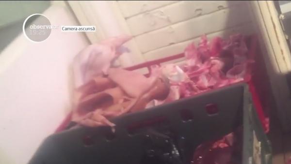Carnea din pieţe poate fi un real PERICOL: iată imagini care arată la ce riscuri se expun cumpărătorii