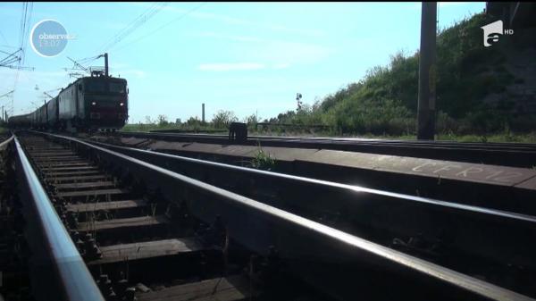 Rudele îl credeau plecat la adunat de lemne, dar ce au descoperit le-a zdruncinat universul