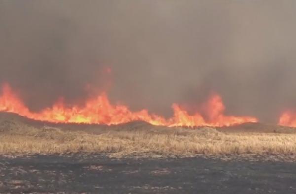 Incendiu masiv de vegetație în Spania. Peste trei sute de oameni au fost evacuaţi! De la ce ar fi pornit totul