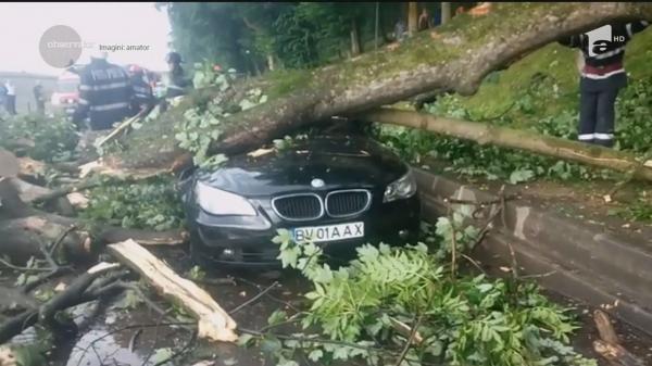 La Braşov, un copac a făcut zob un autoturism în care se afla un bebeluş de 8 luni şi un copil de câţiva anişori