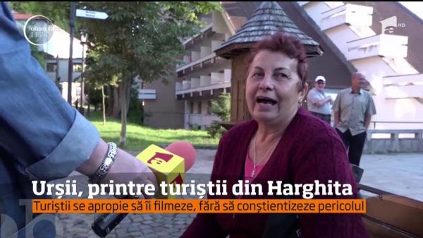 La Băile Tuşnad, TURIȘTII stau la masă cu URȘII, localnicii ULUIȚI își fac CRUCE: "Îți dă două labe și te-a decapitat, și el îi dă cartofi din mână"