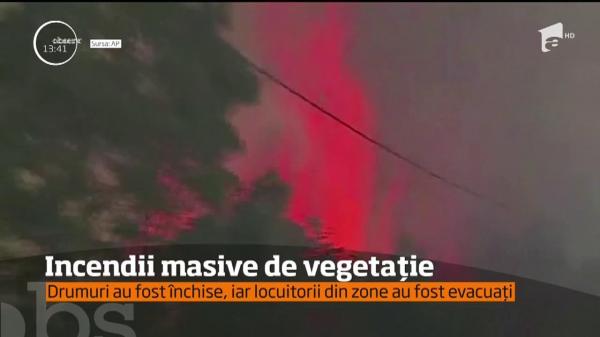 Incendii masive de vegetaţie au îngrozit locuitorii din Italia şi Croaţia!