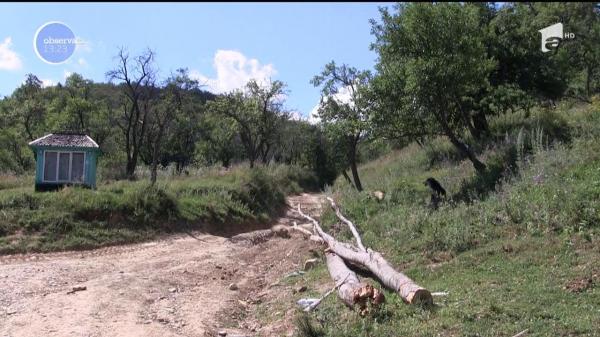 Bătaie de joc MONUMENTALĂ! Bărbatul sfâşiat de urs, pe care-l căuta un judeţ întreg prin pădure, a fost găsit fără vreo zgârietură (VIDEO)