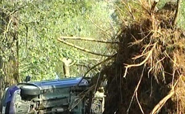 O FURTUNĂ cum n-a mai văzut România A UCIS un om şi A RĂNIT alţi 16. Copaci groşi au fost SMULŞI DIN RĂDĂCINI şi aruncaţi peste corturi şi maşini