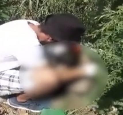 Revoltă în Craiova: O tânără care şi-a dus câinele la dresaj, l-a găsit mort într-un sac. Dresorul a făcut şi alte victime