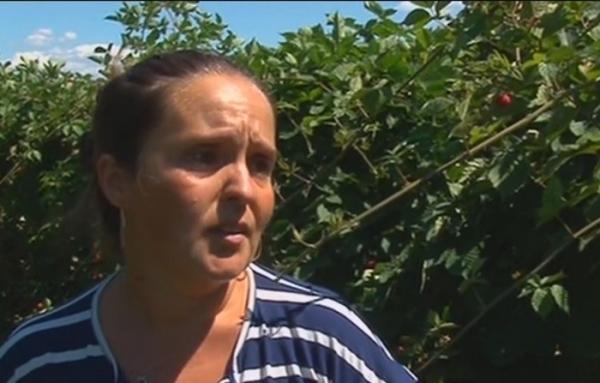 REVOLTA murelor! "De-aş muri azi..." a fost mesajul care a solidarizat zeci de mii de oameni alături de micii producători români