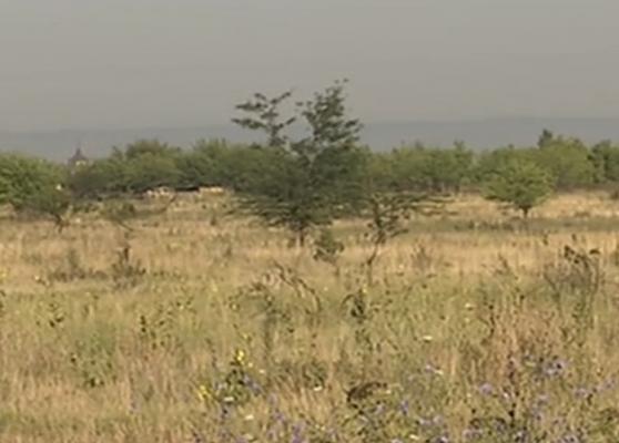 Oraşul Mehedinţi s-a transformat într-o mică Sahara. Pământul e crăpat de secetă