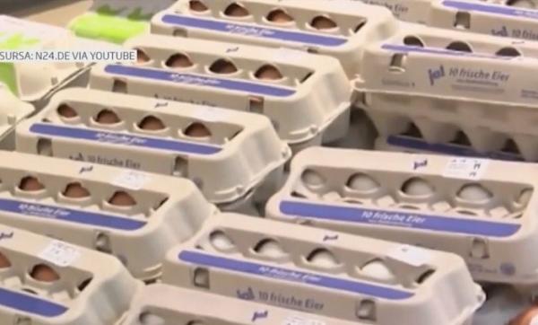 Scandalul ouălor contaminate din Germania, Olanda și Belgia ar avea originile în România! Milioane de ouă au fost retrase de pe piață