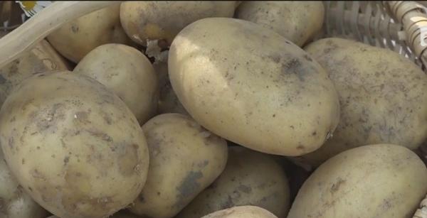 Gurmanzii și-au potolit poftele cu mâncăruri de vară, la Festivalul Cartofului de la Miercurea Ciuc