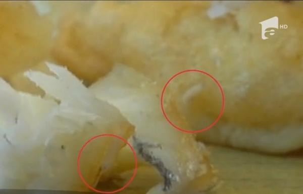 Mâncare la pachet cu viermi, pe litoral! Un copil a primit o porţie de peşte plin cu paraziţi într-un restaurant din Mamaia