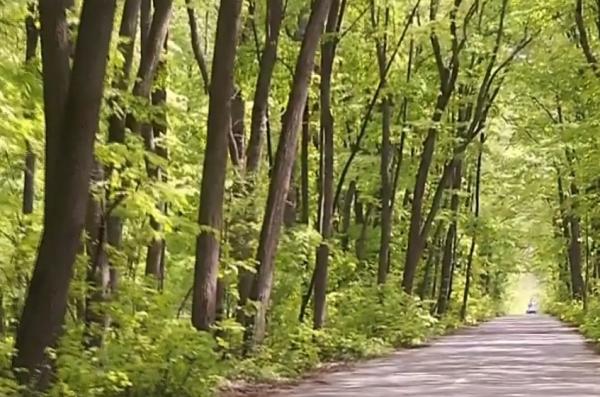 Temperaturi extreme în România. În doar 24 de ore, temperaturile au scăzut chiar şi cu 10 grade!