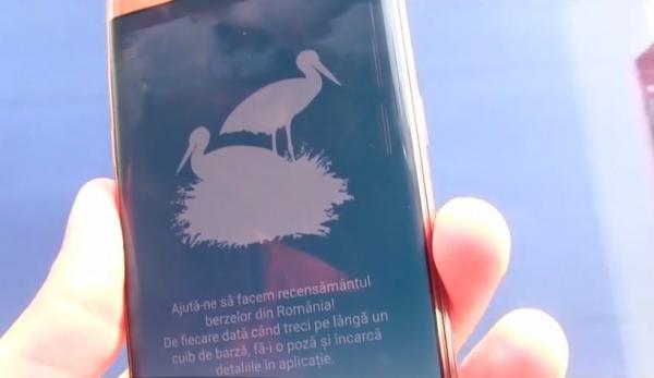 O aplicaţie GPS monitorizează cuiburile de barză din România