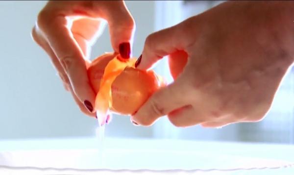 Ouăle infestate cu insecticid au ajuns în România, iar în Olanda s-au făcut primele arestări