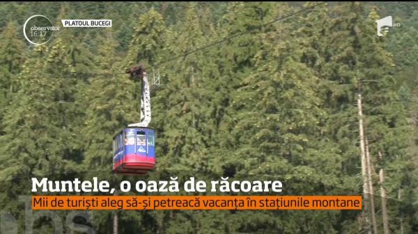 #100 de zile de vară. Muntele, o oază de răcoare! În Bucegi, temperaturile abia ajung la 20 de grade