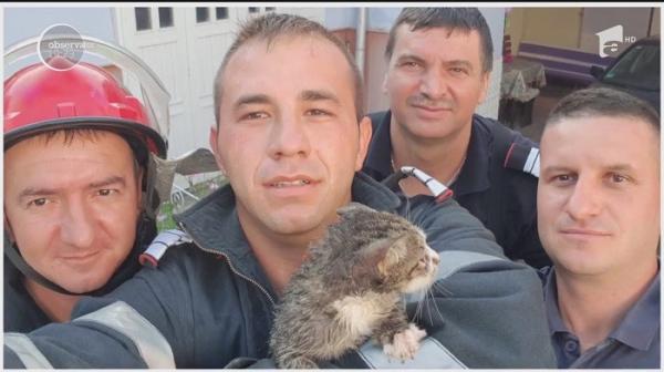 Un pompier din Oraviţa a salvat o pisicuţă blocată într-o fântână, intrând după ea