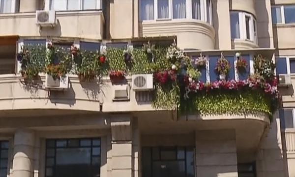 Bucureștenii cu cele mai frumoase balcoane au fost premiați