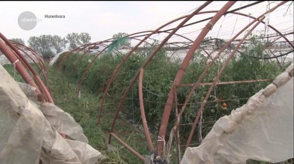 Furtunile au provocat pagube uriaşe în agricultură. Ministerul promite despăgubiri fermierilor