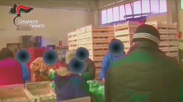 Români din Italia ţinuţi în mizerie, bătuţi şi torturaţi de mâna dreaptă a angajatorul lor, tot un român. Dacă-şi cereau salariul, sufereau cele mai groaznice chinuri