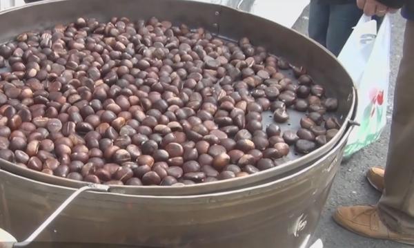 Orașul Baia Mare a fost învăluit de aroma castanelor coapte sau prăjite în cadrul Festivalului Castanelor