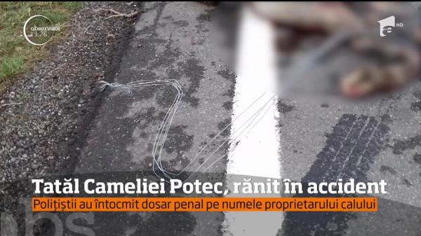 Bărbatul de 68 de ani rănit pe DN1 B, în Buzău, este tatăl fostei înotătoare Camelia Potec!