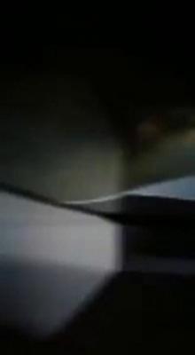Momente de PANICĂ pe străzile din Găeşti! Un urs s-a plimbat în voie pe străzile unui cartier | VIDEO