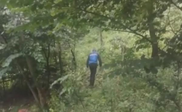 Bărbat sfâșiat de urs, chiar în apropierea casei sale. Îngrijorare privind înmulțirea incidentelor cu urși