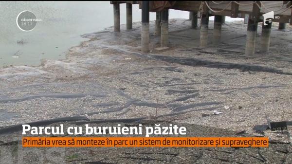 Primăria Ploieşti investeşte 40 de mii de lei pe camere video pentru un parc plin de buruieni