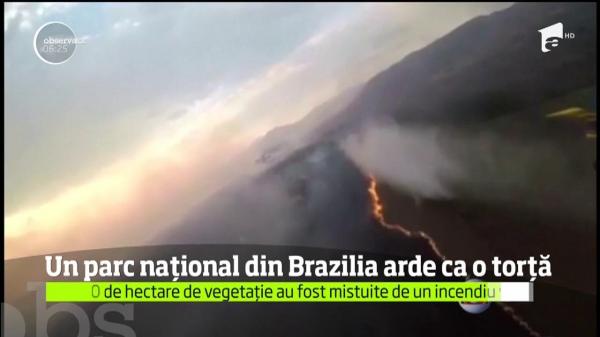 Un parc naţional din centrul Braziliei riscă să fie distrus în totalitate din cauza unui incendiu puternic! 54 de hectare au fost mistuite