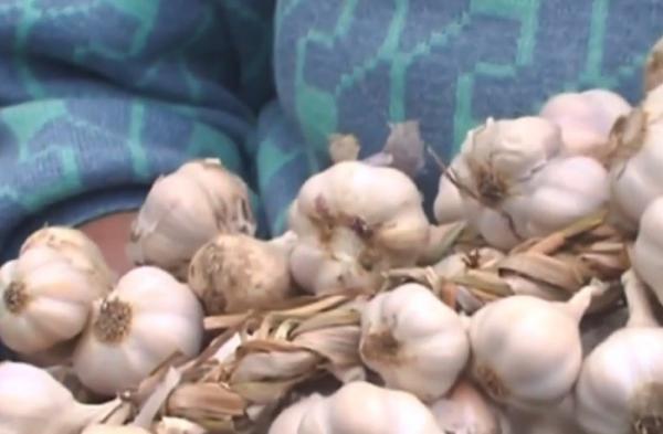Usturoiul românesc, pe cale de dispariţie. Cumpărătorii nu prea se uită la el şi-l preferă pe cel de import