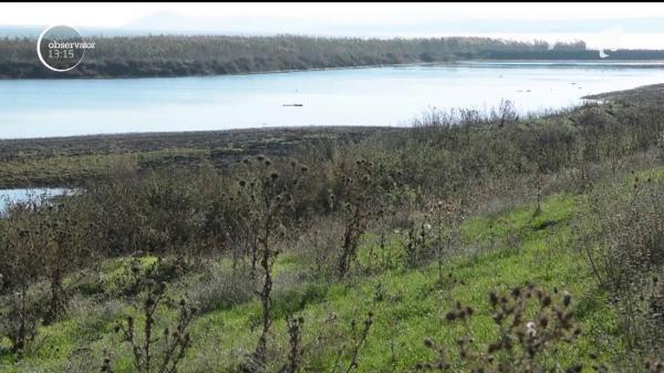 Trei italieni riscă ani buni după gratii, după ce au fost prinşi că împuşcau raţe în Delta Dunării