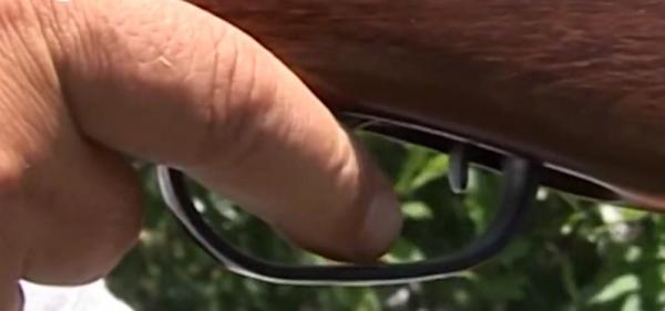 Clipe de groază pentru un pădurar din Mureş. Bărbatul a fost sechestrat şi bătut crunt de hoții de lemne (VIDEO)