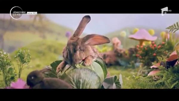 Campanie inedită în Polonia, pentru creşterea natalităţii! Oficialii de la Varşovia îi îndeamnă pe polonezi să se înmulţească precum... iepurii