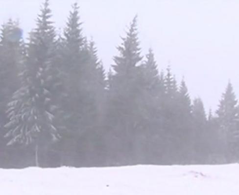 România, sub amenințarea ciclonului Olaf Vom tremura de frig de la începutul săptămânii viitoare!