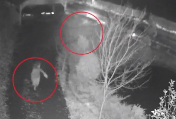 Urmărire de coşmar, surprinsă la Sovata! O femeie a fost alergată de un urs în centrul staţiunii. Animalul flămând a mai dat un atac