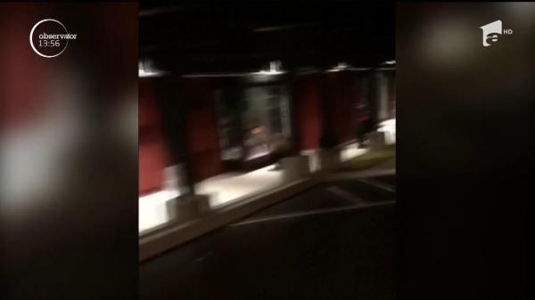 O familie de urşi din California nu a mai avut răbdare până să prindă ofertele de Black Friday